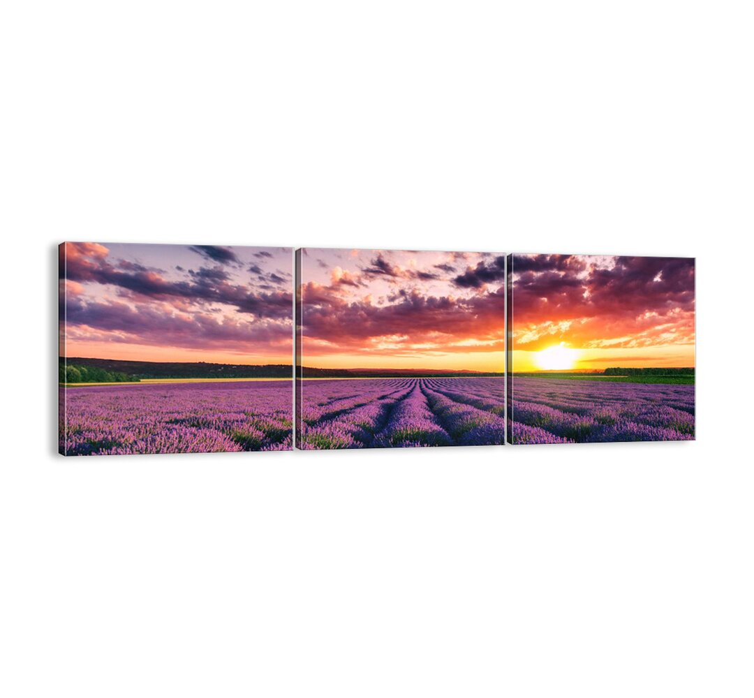 3-tlg. Leinwandbilder-Set - Fotografie „Lavender World”