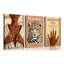 3 Piece Wrapped Canvas Print-124061819