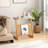 Acim Glass Top End Table Set