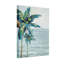 Plantes et fleurs palmiers océan ciel voilier horizon bleu vert-1714369214