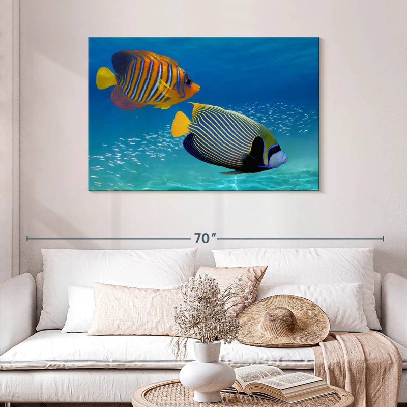 Poisson-ange exotique empereur, H 30 po x l 45 po
