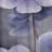 Purple Grey Violets Dream I - Traditional Curtain - Velvet Room Darkening - 1 panel-107826636
