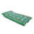 Palmier vert tropical