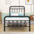 Assunta Metal Platform Bed with Headboard-794205387