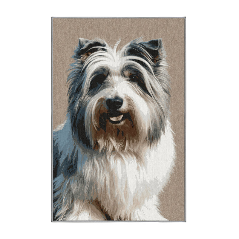  Tapis lavable pour chien de berger des plaines polonais, Tapis de couloir 2 pi x 5 pi