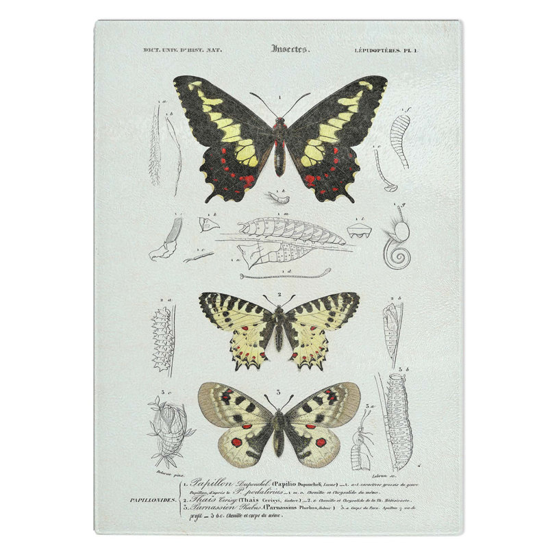Tempered Glass Butterfly Illustrations Pl. 1 Chopping Board, 28.5 cm W x 39 cm L