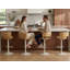 Parthenia Counter Stool