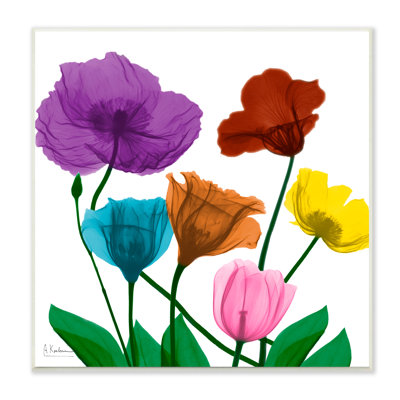 Bold Summer Blooming Florals Translucent Rainbow Flowers Gray Farmhouse