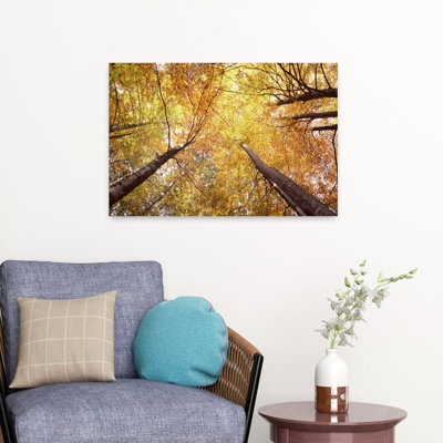 Vue en contre-plongée des arbres, Bavière, Allemagne, paysage forestier contemporain abstrait