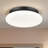 Flush Mount