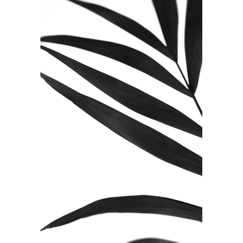 " Black Palms VI " by Renée W. Stramel Painting Print, 18" H x 12" W  