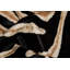Tapis zèbre africain 5 pi x 7 pi