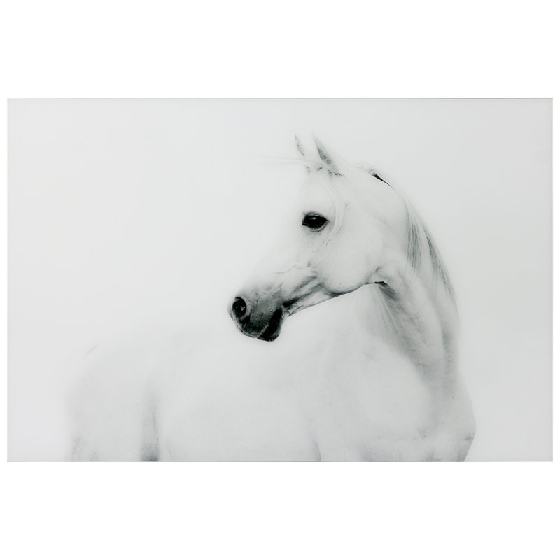 Cheval blanc, impression sur verre