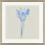 Calla Lilies In Blue Print by Yuki Osada