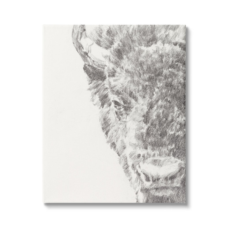 «Détaillé graphite bison campagne ferme animal» par Ethan Harper - reproduction d'art sur toile tendue, Toile tendue