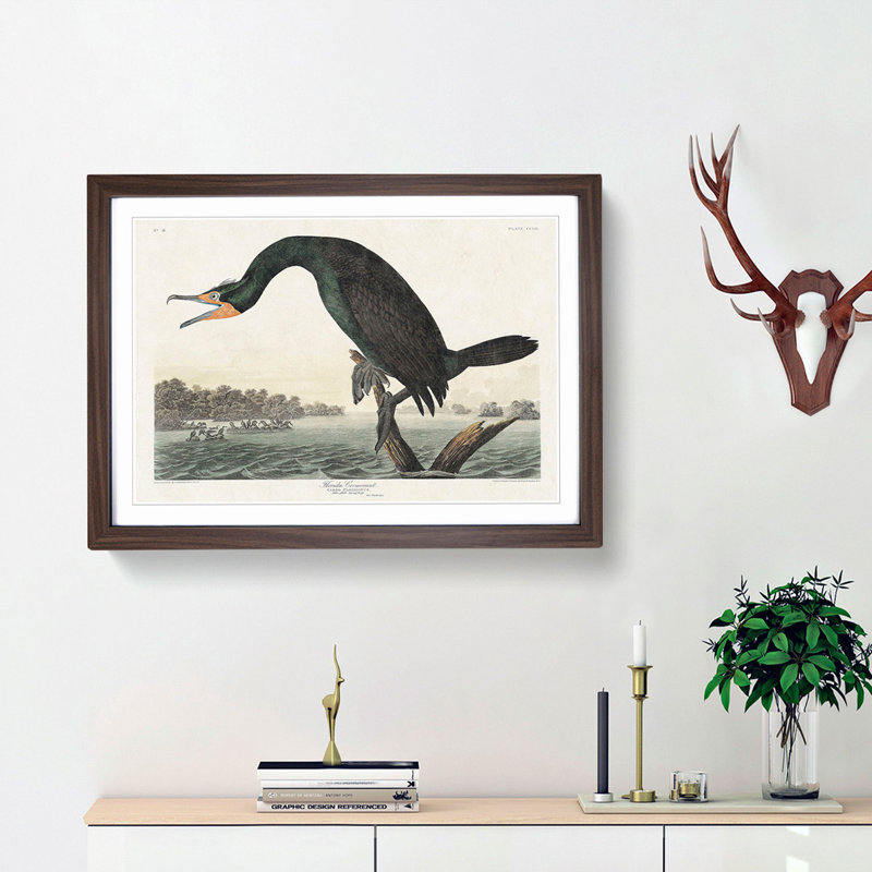 Florida Cormorant Bird by John Audubon - Picture Frame Painting Print on MDF, Walnut Framed, 27cm H x 36cm W x 2cm D