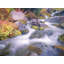 Paradise River Autumn Print by Bruce Heinemann