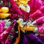 Couverture en polyester Marina