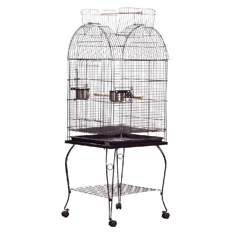 Cage à oiseaux Holguin, Platine