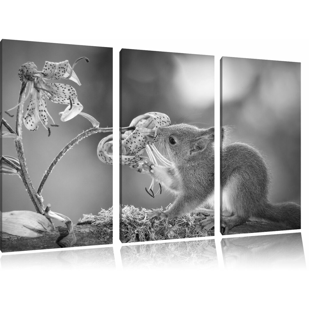 3-tlg. Leinwandbilder-Set „Süßes Eichhörnchen riecht an einer Blume“, Fotodruck