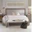 Monarch Velvet Bed-36581552