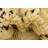 Mosser Beige Rug