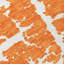 Kyrie Washable Abstract Indoor / Outdoor Rug-101911574
