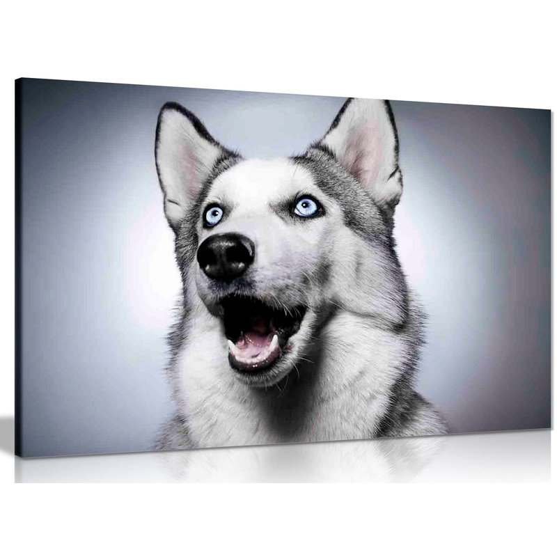 Siberian Husky Dog - Wrapped Canvas Print, 41cm H x 61cm W