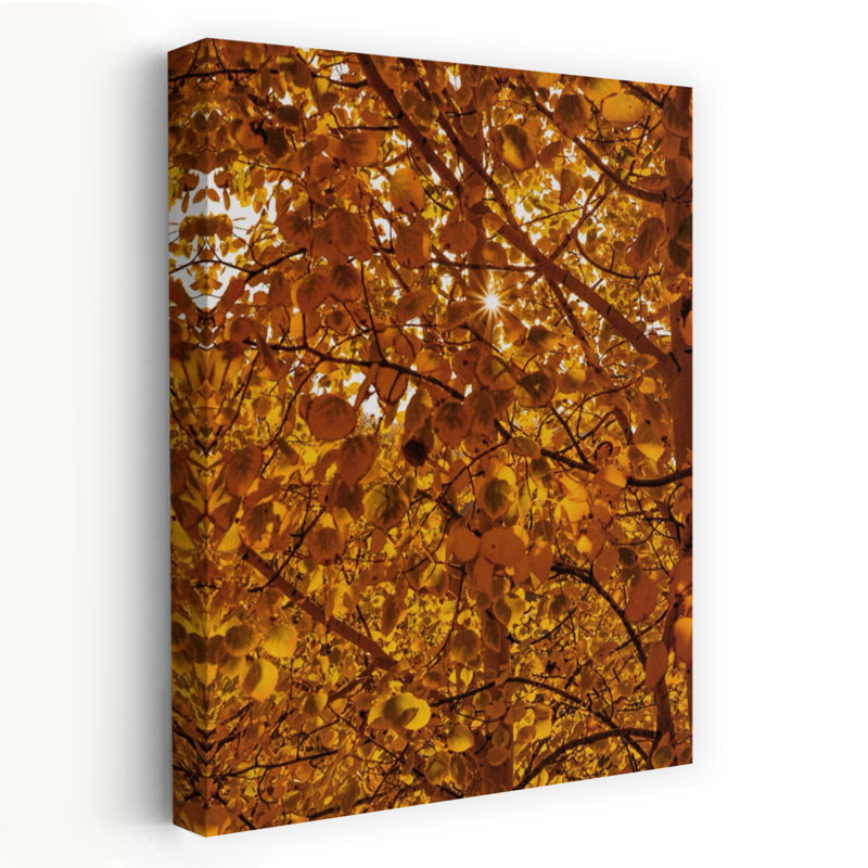 Guanella Pass Sunburst Abstract Contemporary Art, H 60 po x l 40 po