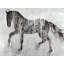 Horse Brown Silhouette Print On Canvas