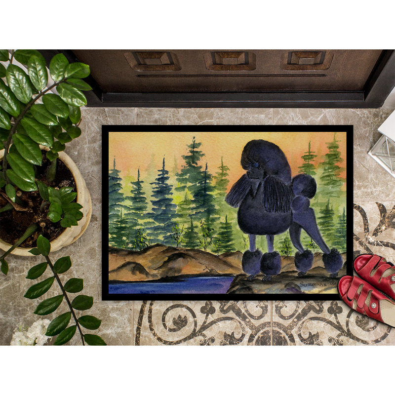 Tapis d'entrée Sud Sudville, Rectangle 2 pi x 3 pi