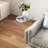 Coffee Table with Acrylic,Sled