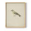 Animal rétro-875725997-875725998
