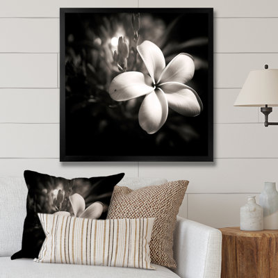 Spectrum Wild Moonlight Plumeria Beauty sur toile