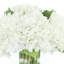 Polysilk Hydrangea Arrangement in Vase-53315512
