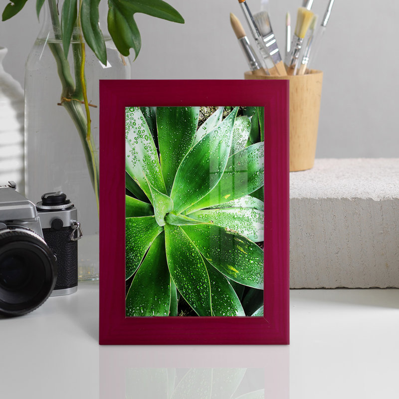 «Green Tropical Succulent V», reproduction de cadre photo simple, H 6 po x l 4 po x P 1 po, Rouge