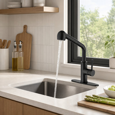 NOVEL Pull Out Kitchen Faucet