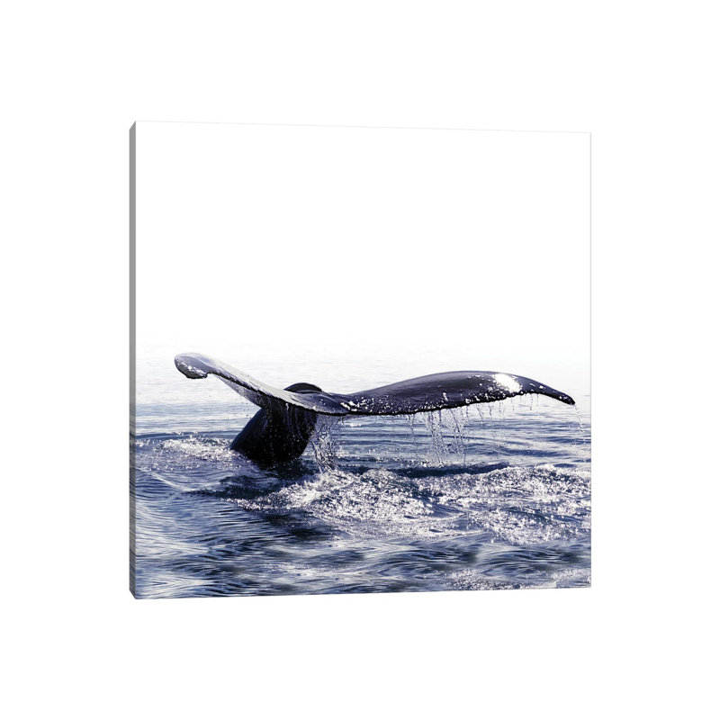 Whale Song Iceland I Square by Monika Strigel - Wrapped Canvas Print, 30.48 cm H x 30.48 cm W