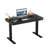 Height Adjustable Rectangle Standing Desk, Computer Desk with Drawer, USB Port and Type-C Port-1004140619-1004158388