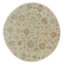 Wool Oriental Area Rug in Ivory