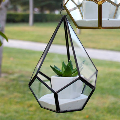 Radu Handmade Terrarium