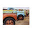  Nathan Larson Line Up Bright Canvas Wall Art-101102531