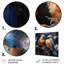 «Blue and Orange Birds Symphony», art mural en métal avec un ours en peluche-1067182621