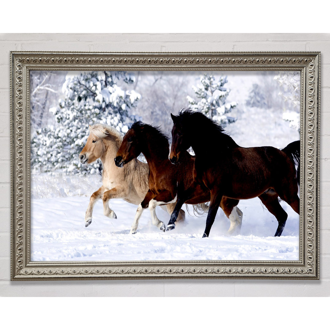 Wild Winter Horses Running - Einzelne Bilderrahmen Kunstdrucke