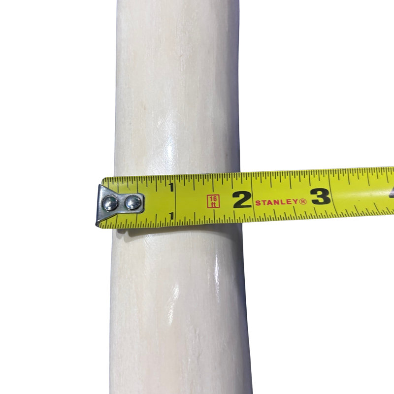 Real Giraffe Leg Bone