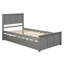 Platform Bed with Trundle Frame-1277265233
