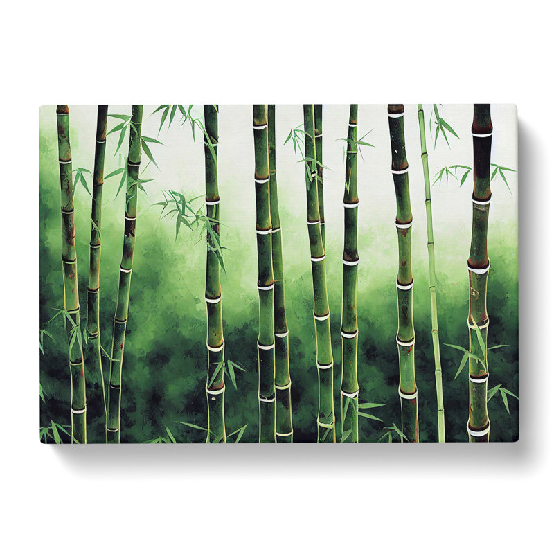 Magnificent Bamboo Forest - Wrapped Canvas, 35cm H x 50cm W x 3cm D