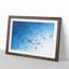 Flying Pigeons - Framed Print-62799273-62799274