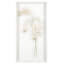 Study Of Orchids II Print