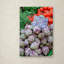 Ann "Artichokes", reproduction de photo sur toile tendue-24191571